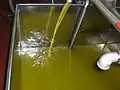 Olive oil production