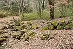 Ōmeguri-Komeguri Mountain Castle ruins