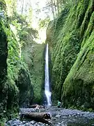 Oneonta Gorge falls