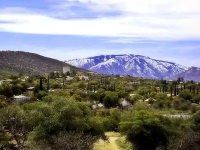 View of Mount Lemmon from Oracle, AZ