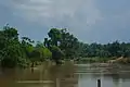 Orashi river showing vegetation at the far side of the river bank