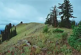 Oregon Butte in the Wenaha–Tucannon Wilderness