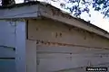 Moths emerging from pupal cases on side of building