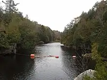 Otter Creek near Middlebury