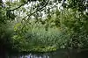 Oughtonhead Nature Reserve