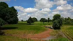 Fields outside Ounet