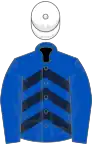 Royal blue, dark blue chevrons on body, white cap