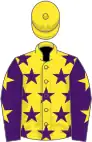 Yellow, purple stars, purple sleeves, yellow stars, yellow cap