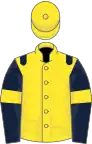 Yellow, dark blue epaulets, dark blue sleeves, yellow armlets