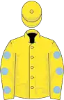 Yellow, light blue spots on sleeves