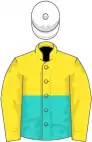 Yellow and turquoise (halved horizontally), yellow sleeves, white cap