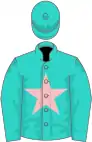 Turquoise, pink star, turquoise sleeves and cap