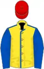 Yellow, royal blue seams and sleeves, red cap