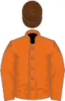 Orange, orange sleeves, brown cap