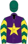 Purple, yellow star, dark green sleeves, yellow chevrons, dark green cap