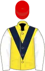 Yellow, dark blue chevron, white sleeves, red cap