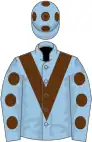 Light blue, brown chevron, light blue sleeves, brown spots, light blue cap, brown spots