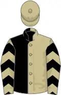 Black and beige halved, beige sleeves, black chevrons, beige cap