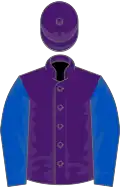 Purple, royal blue sleeves