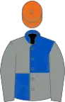 Royal blue and grey (quartered), grey sleeves, orange cap