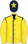 Yellow, dark blue seams, yellow sleeves, dark blue cap, yellow star