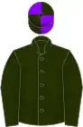 Moss green, violet and moss green quartered cap