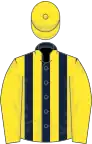 Dark blue and yellow stripes, yellow sleeves and cap