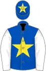 Royal blue, yellow star, white sleeves, royal blue cap, yellow star