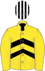 Yellow and black chevrons, yellow sleeves, white and black striped cap