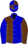 Blue and brown (halved), reversed sleeves, quartered cap