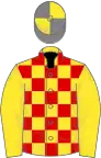 Yellow and red checked, yellow sleeves, quartered cap