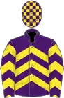 PURPLE and YELLOW CHEVRONS, check cap