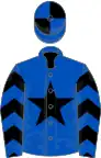 ROYAL BLUE, black star and chevrons on sleeves, quartered cap