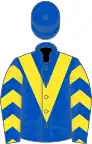 Royal blue, yellow chevron and chevrons on sleeves, royal blue cap