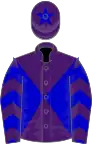 Purple, blue diabolo, chevrons on sleeves and star on cap