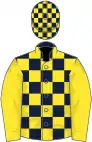 Dark blue and yellow check, yellow sleeves