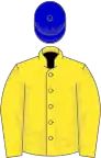 Yellow, royal blue cap