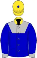 Blue, silver yoke and cuffs, yellow collar, yellow cap,blue button