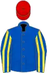 Royal blue, royal blue and yellow striped sleeves, red cap