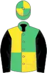 Emerald Green and Yellow (quartered), Black sleeves