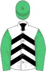 White, black chevrons, emerald green sleeves and cap