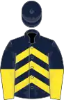 Dark blue and yellow chevrons, halved sleeves, dark blue cap