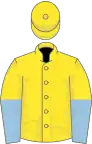 Yellow, Yellow and Light Blue halved sleeves, Yellow cap