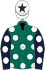 Dark green, white spots, royal blue sleeves, white spots, white cap, royal blue star