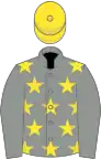 Grey, yellow stars on body, yellow cap