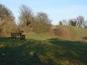 Ruins of Owston Ferry Castle