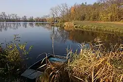 Předbojský pond