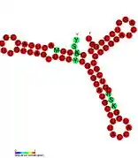 P13:  Secondary structure taken from the Rfam database. Family RF01665