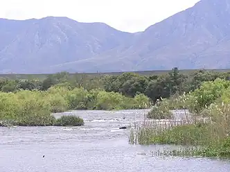 Breede with Langeberg backdrop