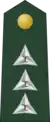 Lieutenant Commandant